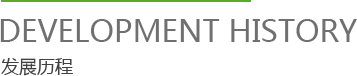 发展历程